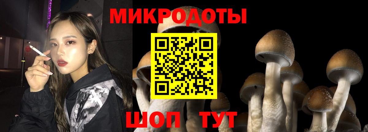 Галлюциногенные грибы Cubensis Учалы